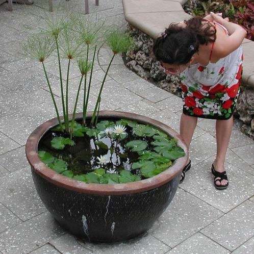 Jardiner dans un gros pot