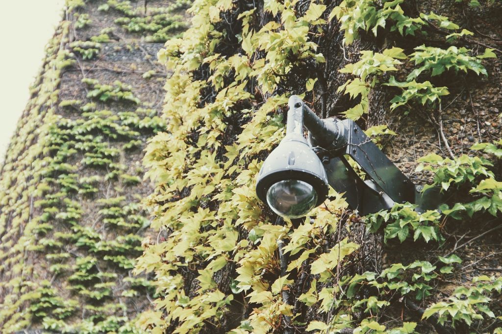 Caméra de surveillance sur un mur végétal