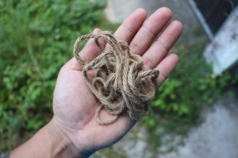 Comment fabriquer une corde à partir de plantes ?