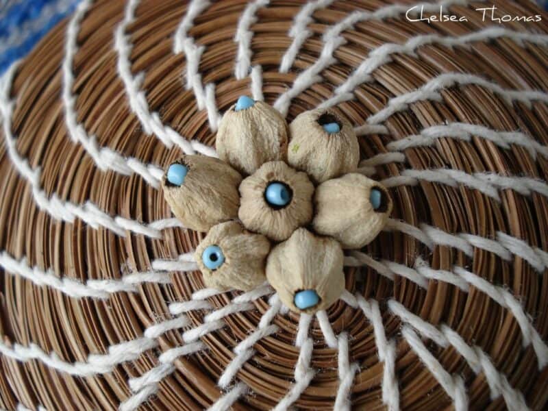 Panier décoré d'aiguilles de pin avec couvercle à tête de graine perlée.  Image par Chelsea Thomas via Flickr Creative Commons.