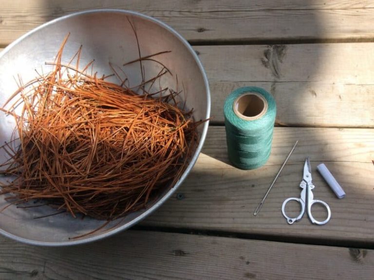 Fabriquer un exquis panier en aiguilles de pin en 5 étapes faciles